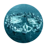 Cursos de revalidación de los certificados de suficiencia profesionales del convenio STCW -EscolaPort - Barcelona