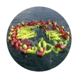 Formación Básica en Seguridad - STCW. Prepárate para enfrentar con garantías las situaciones de emergencia a bordo.